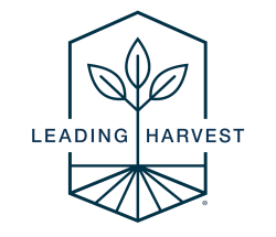 Leading Harvest